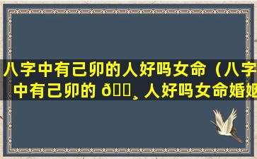 八字中有己卯的人好吗女命（八字中有己卯的 🌸 人好吗女命婚姻）